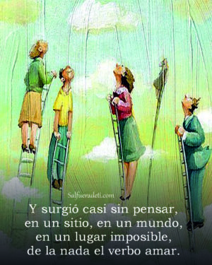 Y surgió el amor casi sin pensar, en un sitio, en un mundo, en un lugar que parecía imposible.