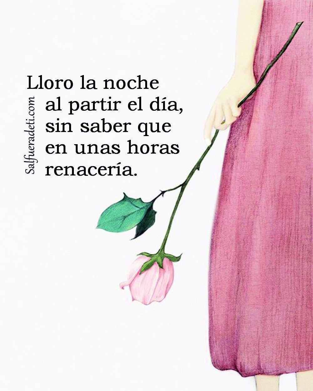 Lloro la noche al partir el día, comenzó su letanía: su porqué y su hasta cuándo, casi sin saber que en unas horas renacería.