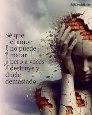 El Amor no Mata Pero a veces Duele Demasiado